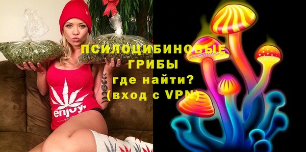 винт Абаза