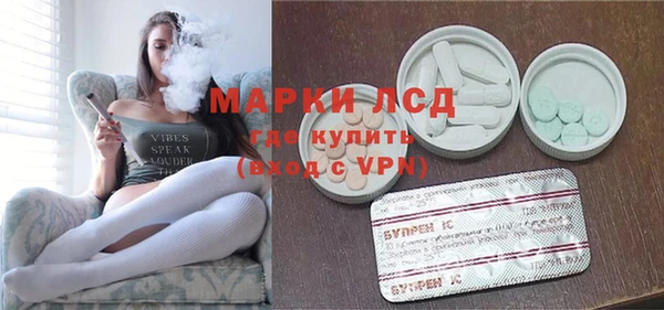 ПСИЛОЦИБИНОВЫЕ ГРИБЫ Алзамай